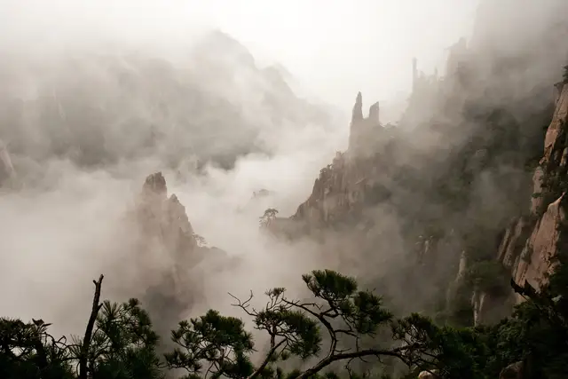 Granite pinnacles of Huangshan emerge from thick cloud and mist, with gnarled pine trees in the foreground.