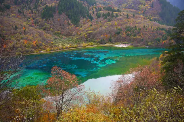 Turquoise and blue Five Flower Lake in Jiuzhaigou Valley, Sichuan, seen from above and framed by red and golden autumn trees.