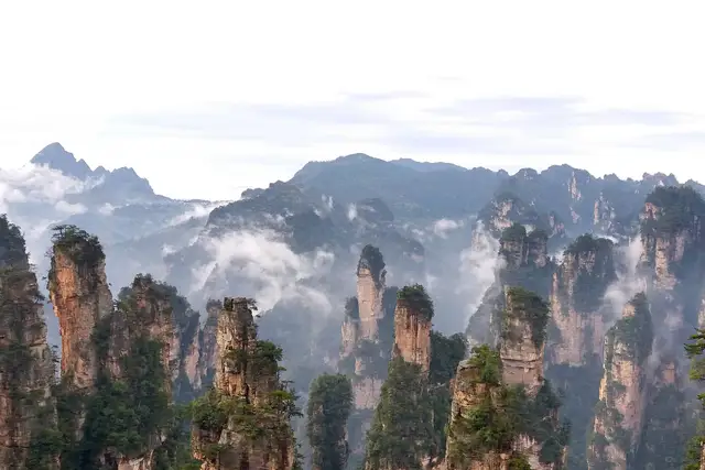 Dozens of forested sandstone pillars in Zhangjiajie's Wulingyuan area, with low clouds drifting between them under a pale sky.